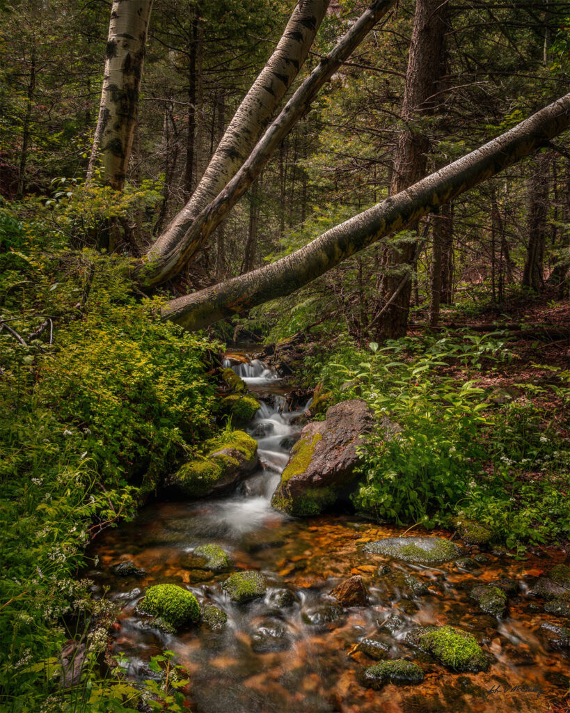 20240717_Crystal falls hike Sangre de Christo_0041-Edit 2_3