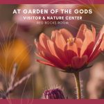 Summer 2026 Art Exhibit at the Garden of the Gods - Registration extended to July 19th!