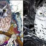 Member Art Program - Acrylic Pour Painting with Linda Bridges