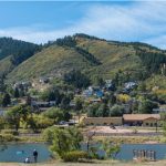 PLAG Annual Member BBQ 2026