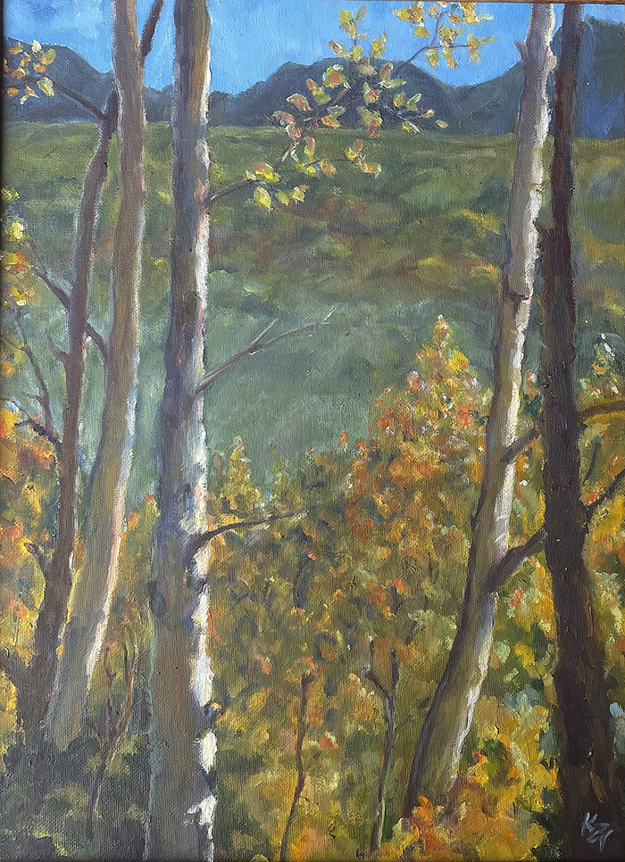 AnitasAspens